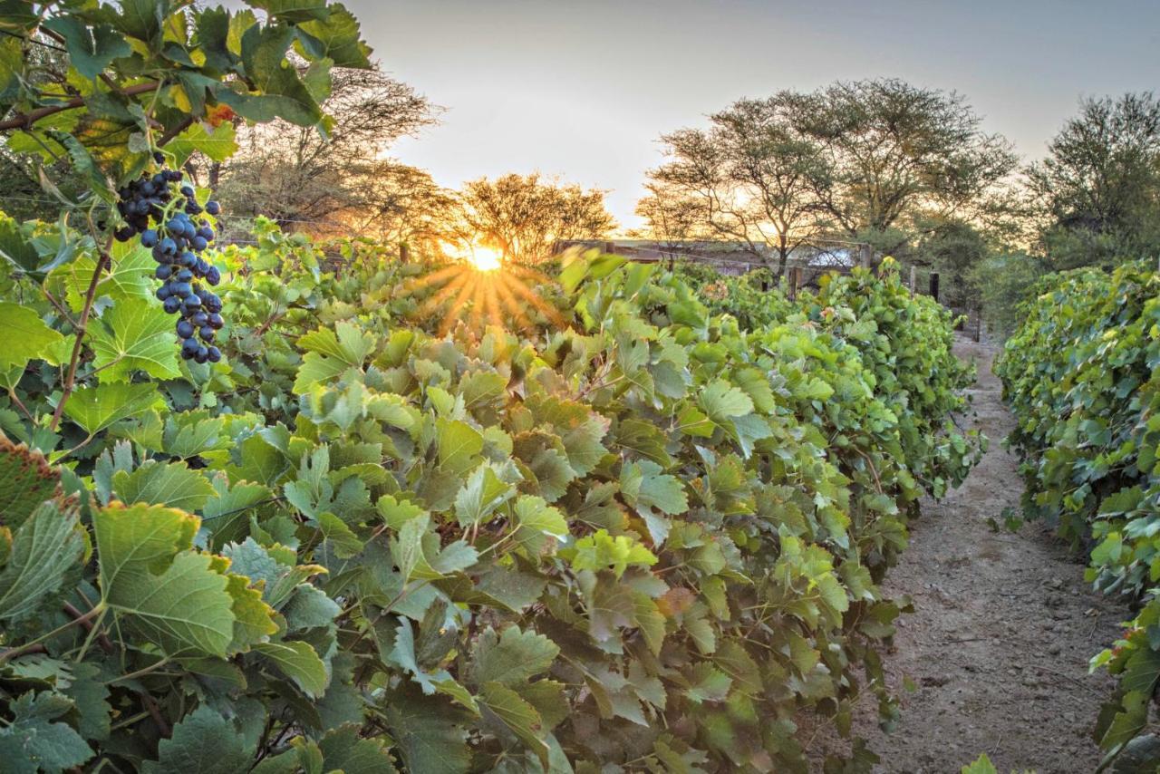 Neuras Wine And Wildlife Estate Hotel Namib-Naukluft National Park Екстериор снимка