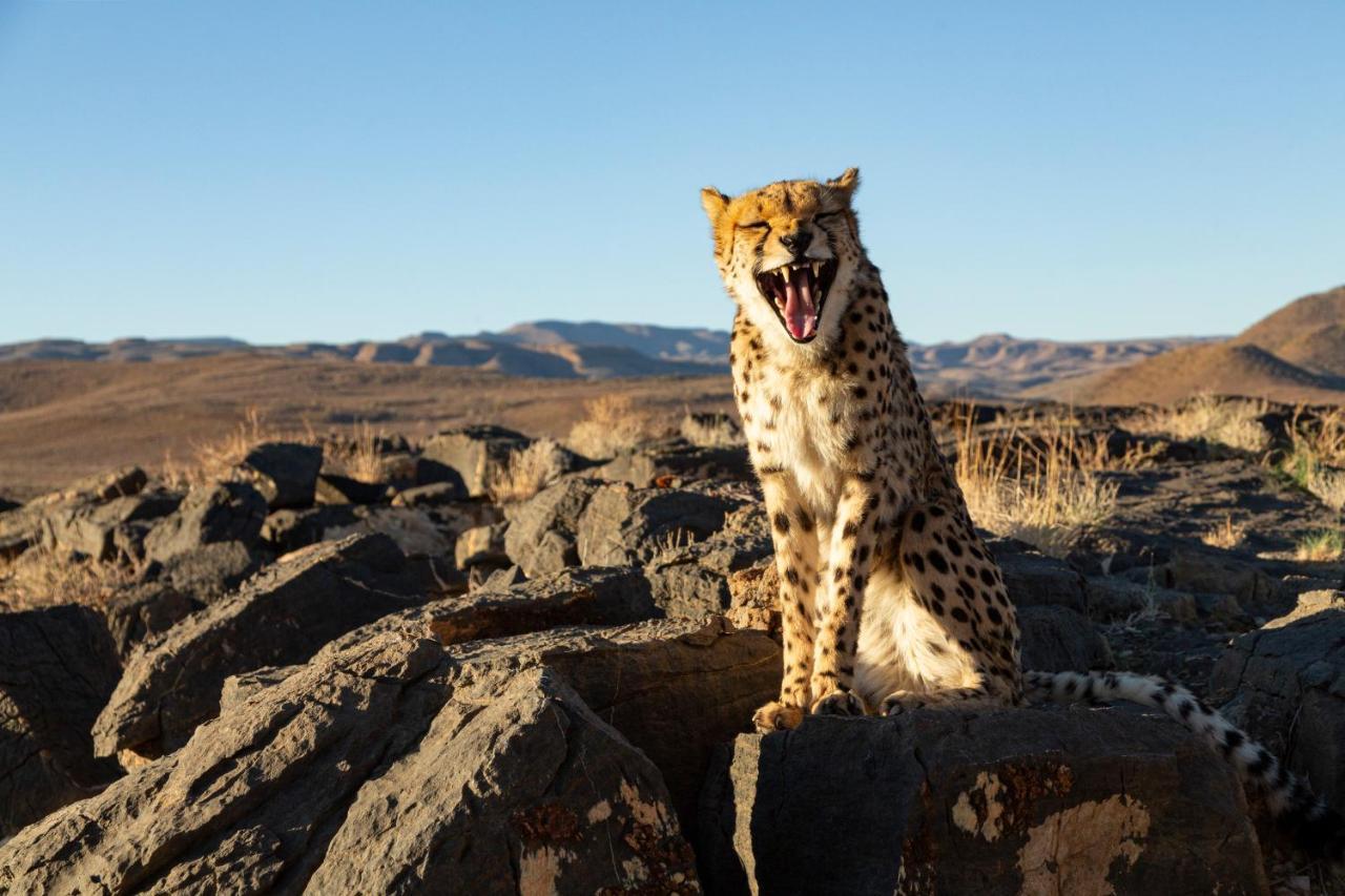 Neuras Wine And Wildlife Estate Hotel Namib-Naukluft National Park Екстериор снимка